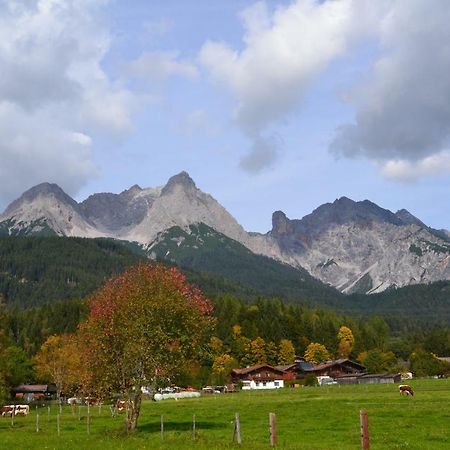 Appartement Herzog Saalfelden Exteriör bild